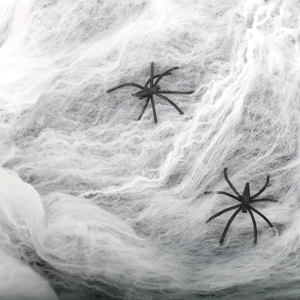 Olen fake spider web decoration with two black plastic spiders