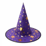 Olen purple witch hat with gold star accents